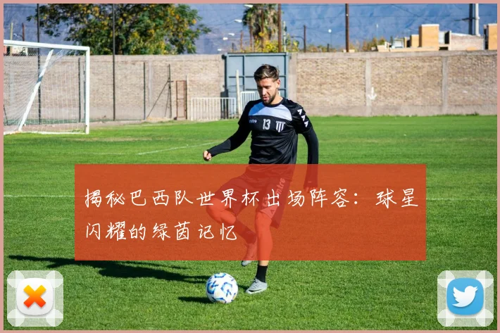 揭秘巴西队世界杯出场阵容:球星闪耀的绿茵记忆
