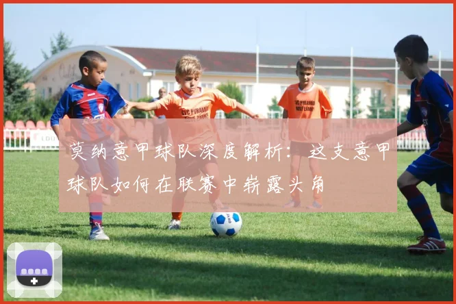 莫纳意甲球队深度解析：这支意甲球队如何在联赛中崭露头角