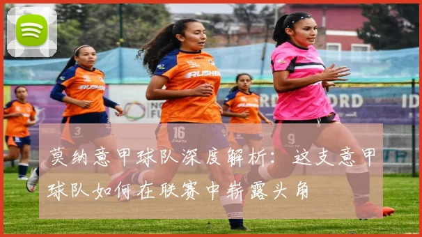 莫纳意甲球队深度解析：这支意甲球队如何在联赛中崭露头角